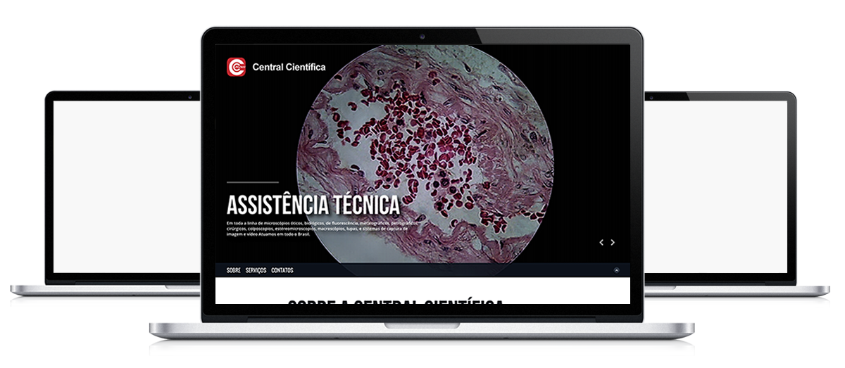 Site LMFinancasPessoais.com.br